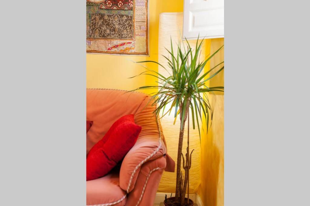 格拉纳达Casita A La Luz De La Alhambra公寓 外观 照片